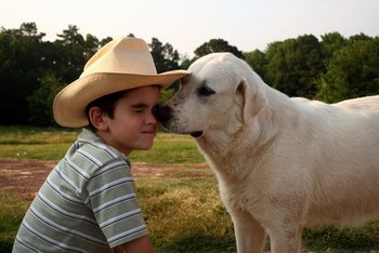 A dog with Texas pet insurance licks a child.